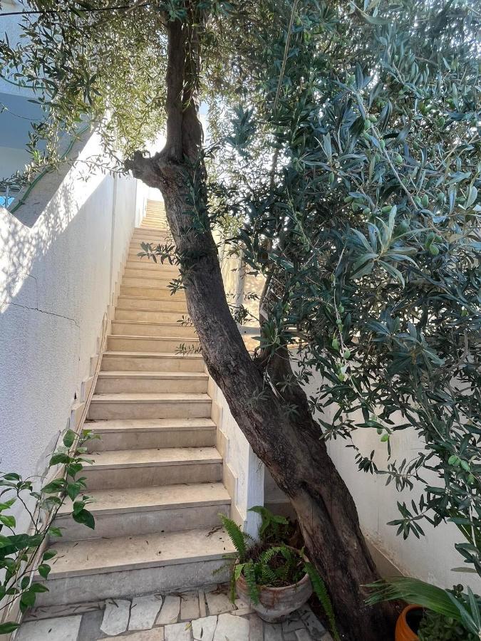 Luxeux Et Ideal A Marsa Plage Vue Sur Mer Appartement La Marsa Buitenkant foto